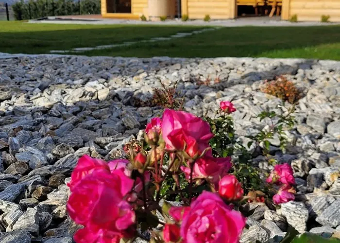 Gorskie Przysiolki W Koniakowie - Dom Z Bala Jodelka * Koniaków